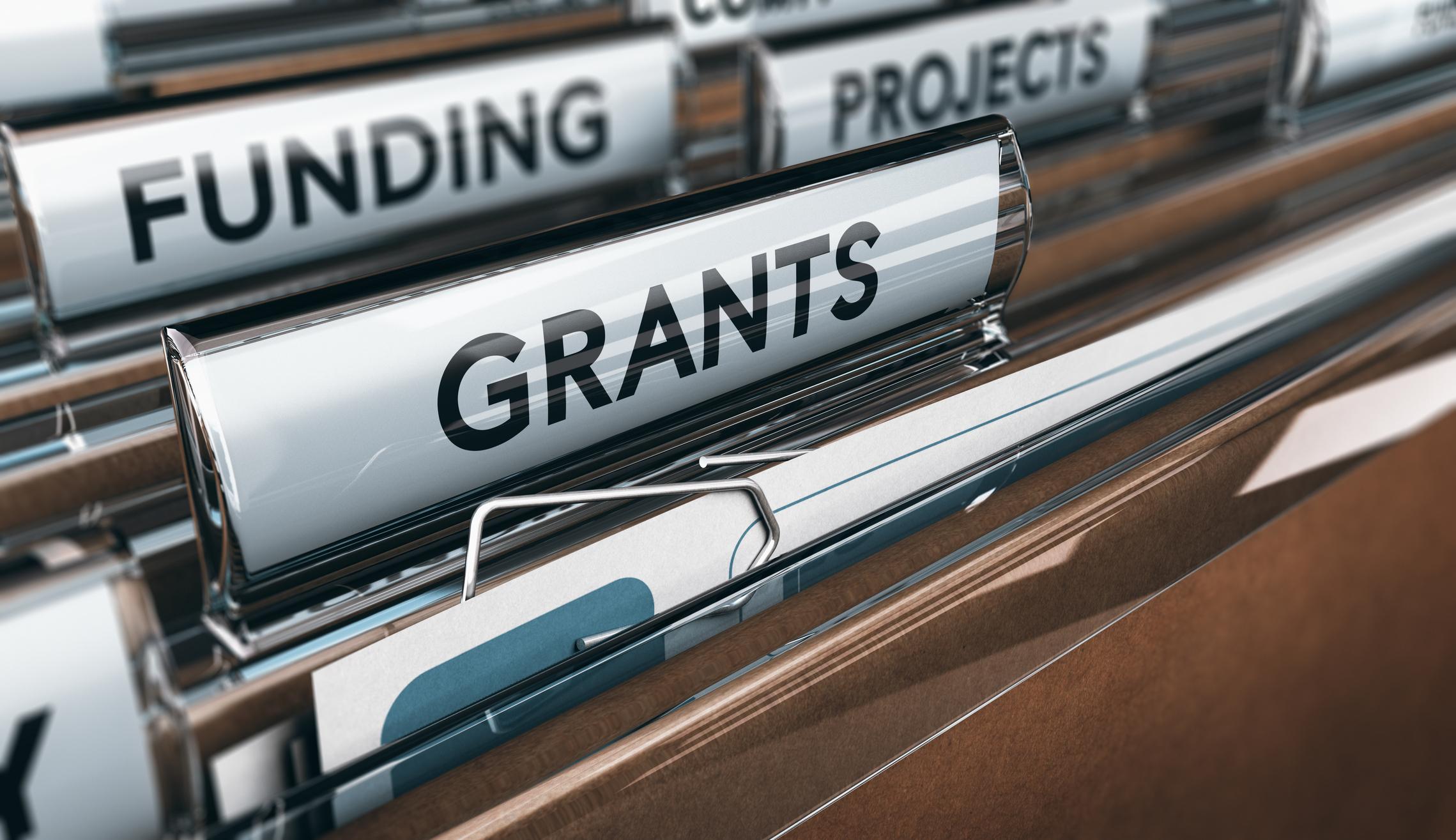Government, public sector grants